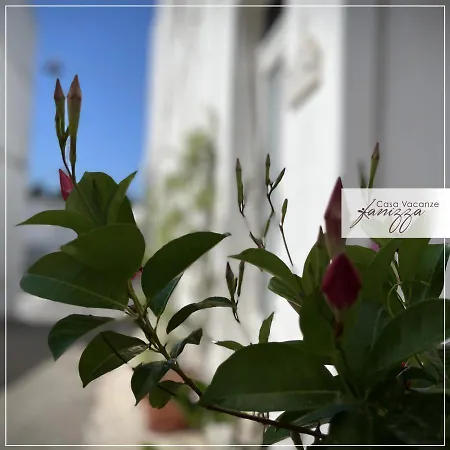 Guest house Rebecca E Sofia Stone House 4*