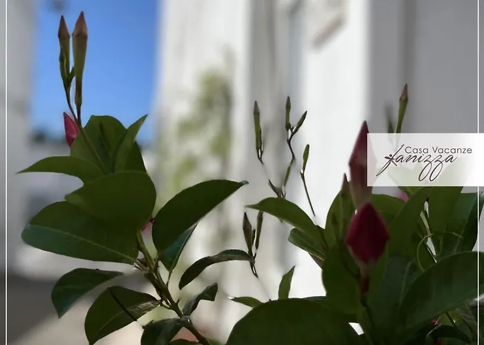 Gæstehus Rebecca E Sofia Stone House 4*